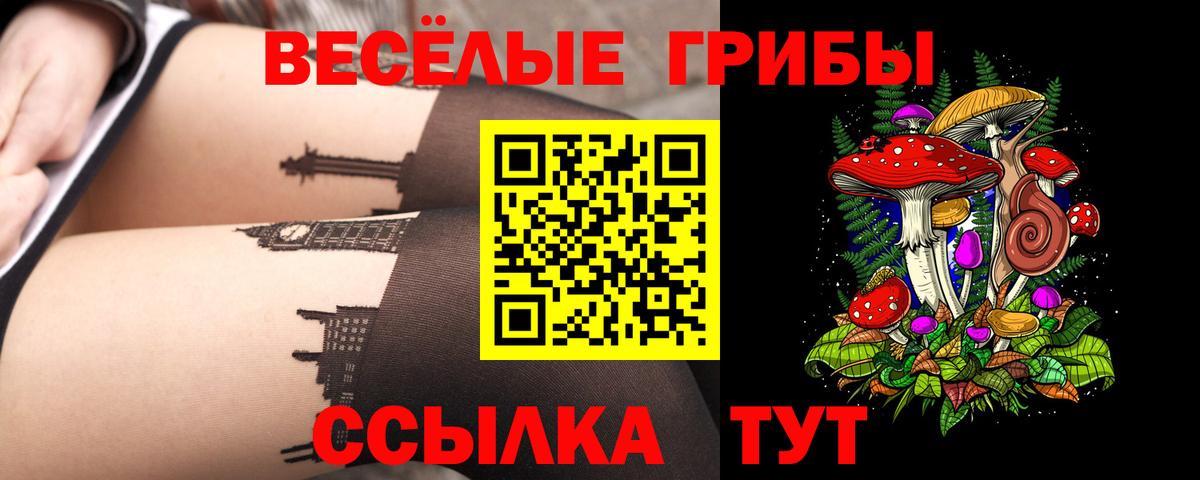 Отрадный  Псилоцибиновые грибы прущие грибы  где купить наркоту  Вход с VPN 